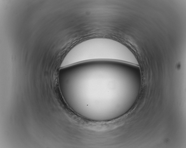 X0000091060029200708061010
