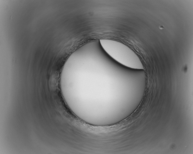 X0000091060030200708061010