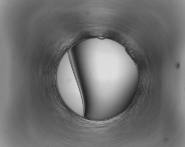 X0000091060031200708061010