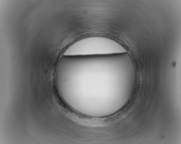X0000091060032200708061010