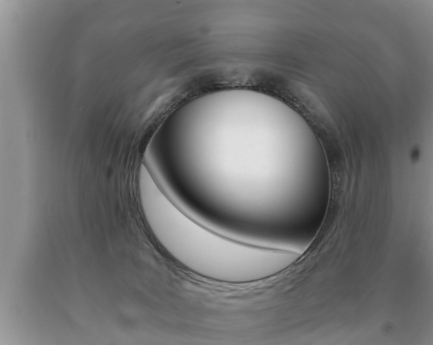 X0000091060035200708061010