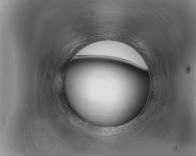 X0000091060037200708061010