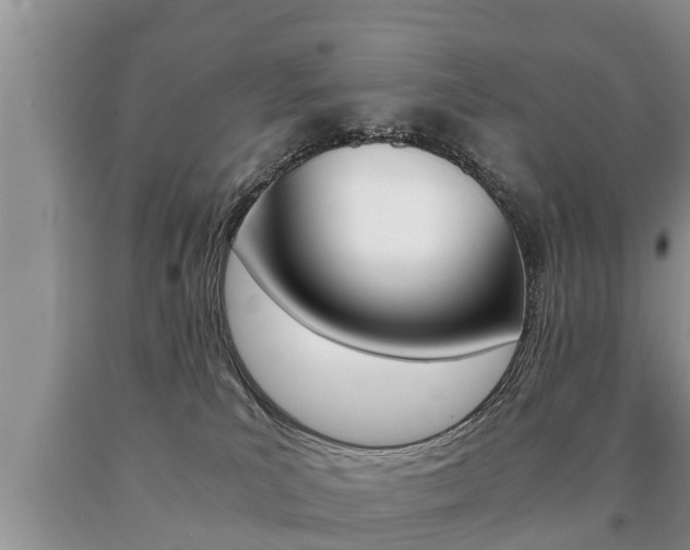 X0000091060039200708061010