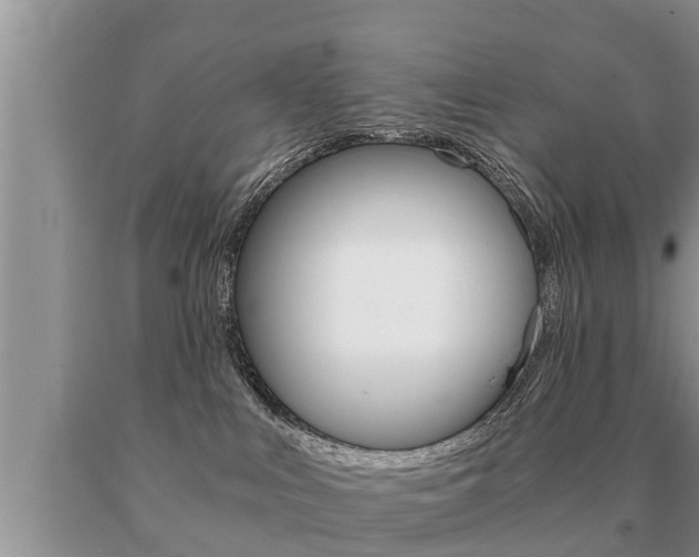 X0000091060043200708061010