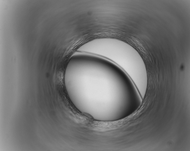 X0000091060045200708061010