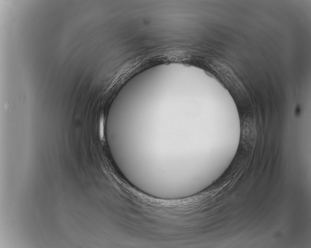 X0000091060046200708061010