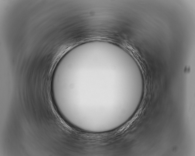 X0000091060049200708061009