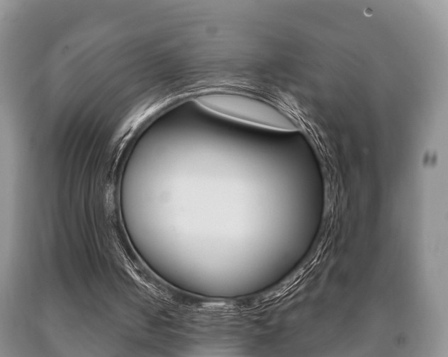 X0000091060050200708061009