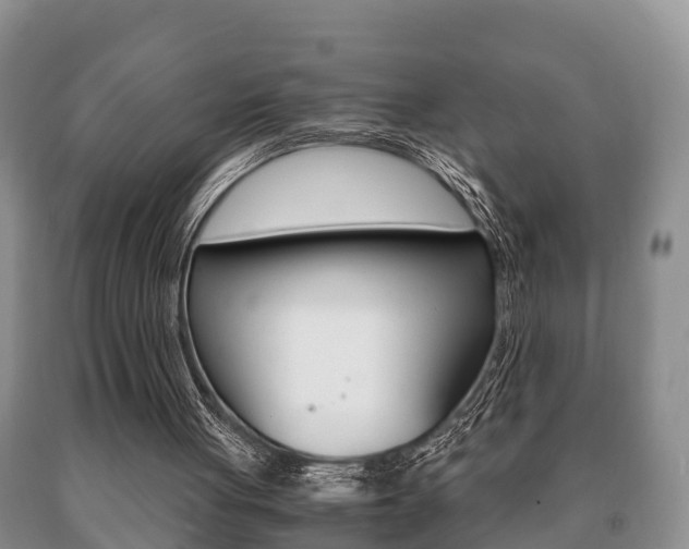 X0000091060051200708061009