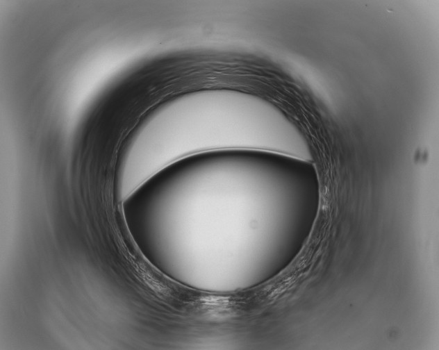 X0000091060052200708061009