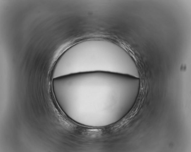 X0000091060053200708061009
