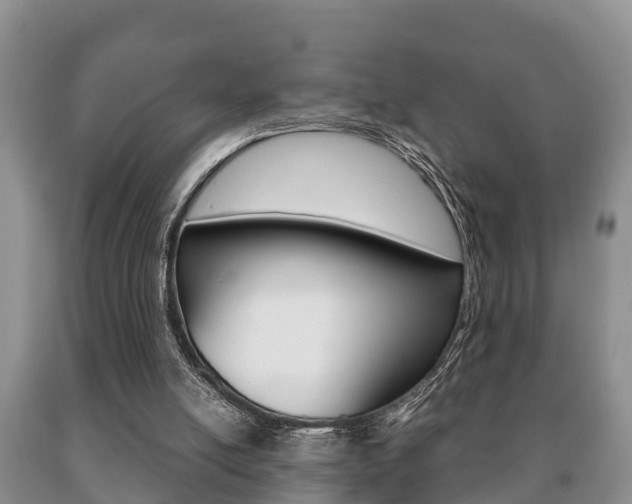 X0000091060054200708061009