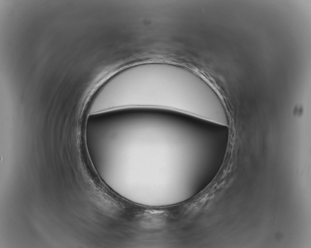 X0000091060055200708061009