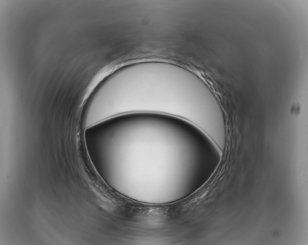 X0000091060056200708061009