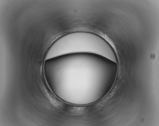 X0000091060057200708061009