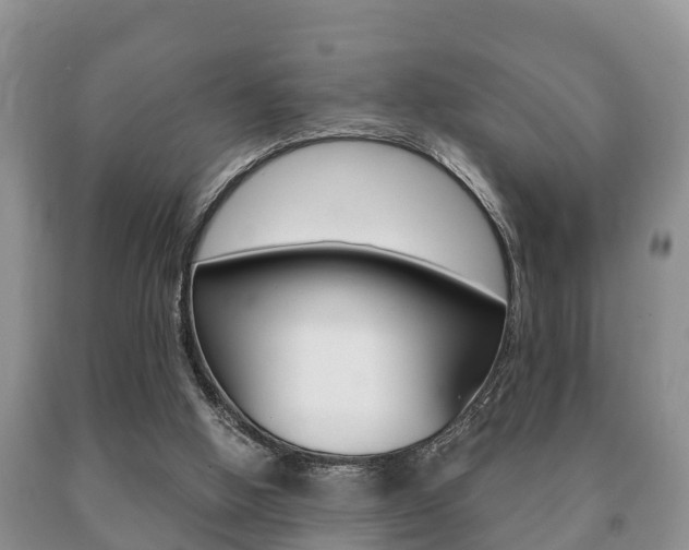 X0000091060058200708061009