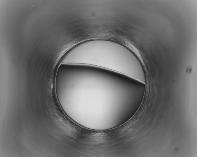 X0000091060059200708061009
