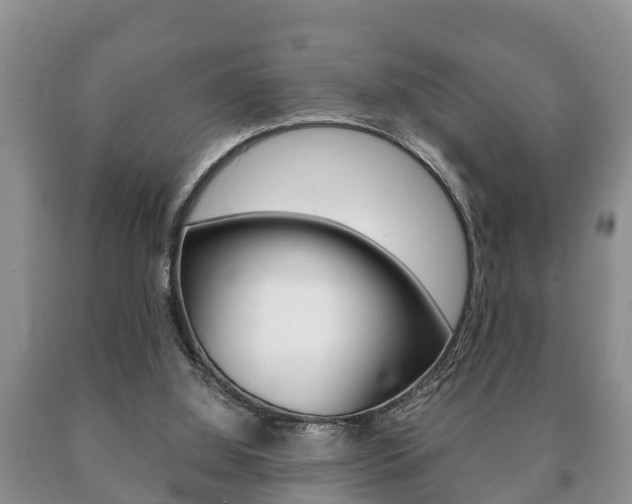 X0000091060060200708061009