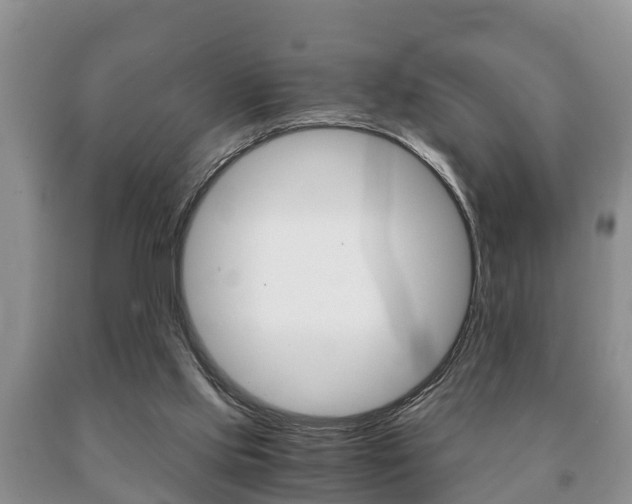 X0000091060061200708061009