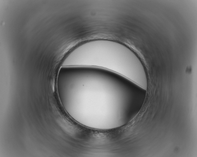 X0000091060062200708061009