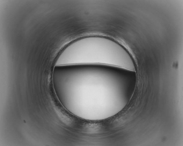 X0000091060063200708061009