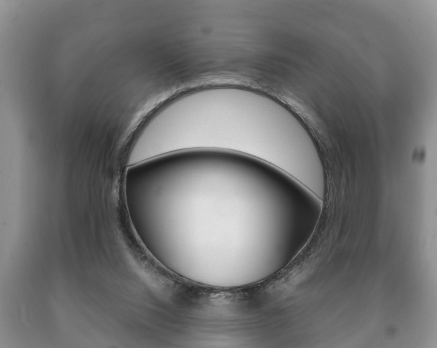 X0000091060064200708061009