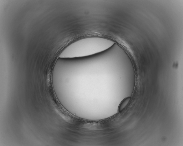 X0000091060065200708061009