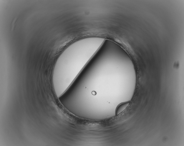 X0000091060066200708061009