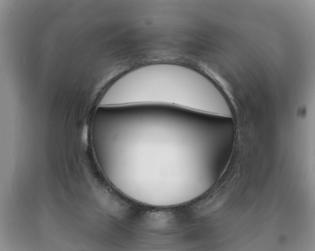 X0000091060067200708061009