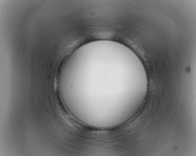 X0000091060069200708061009