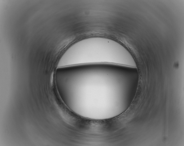X0000091060070200708061009
