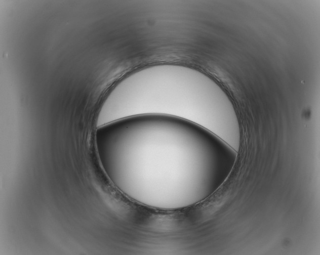 X0000091060072200708061009