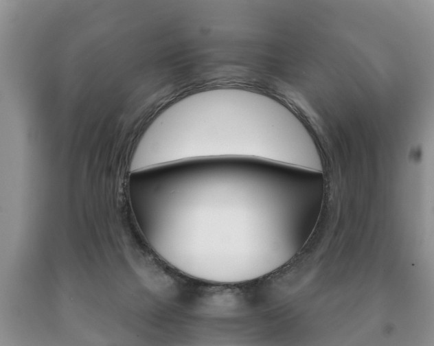 X0000091060073200708061009
