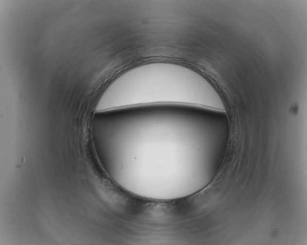X0000091060074200708061009