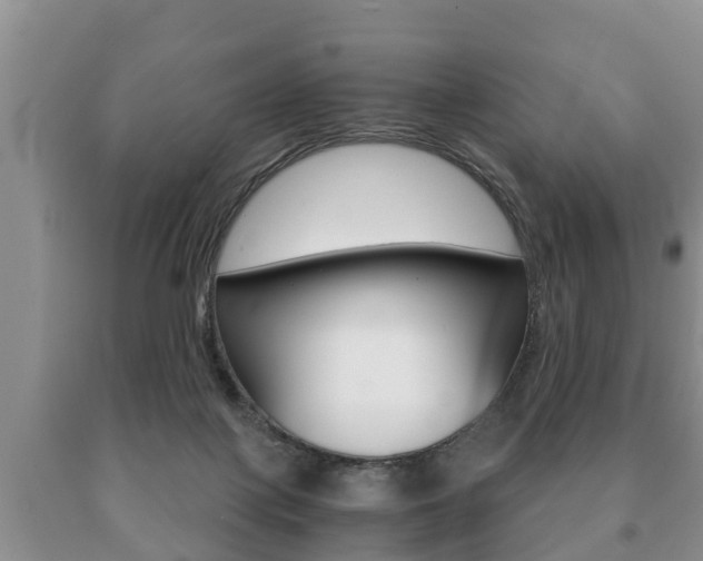 X0000091060075200708061009