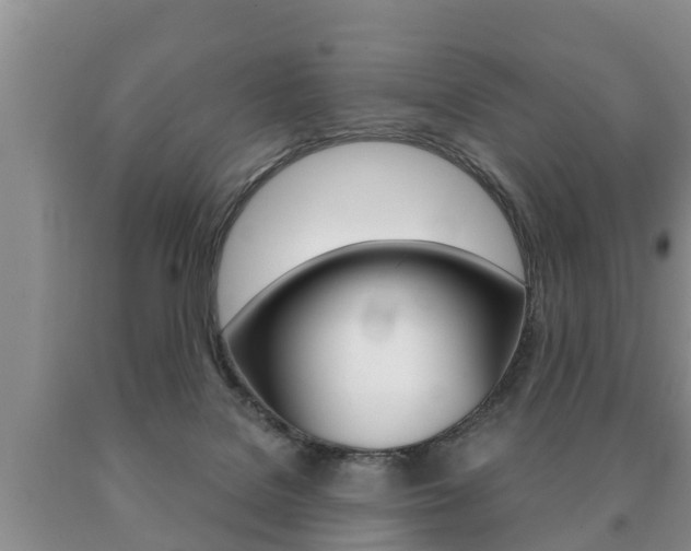 X0000091060076200708061010