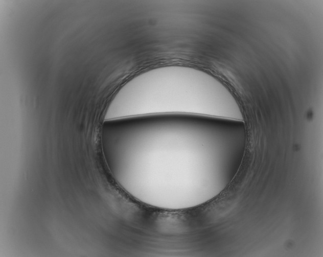 X0000091060077200708061010
