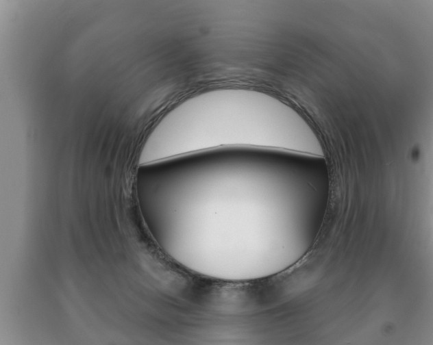 X0000091060078200708061010
