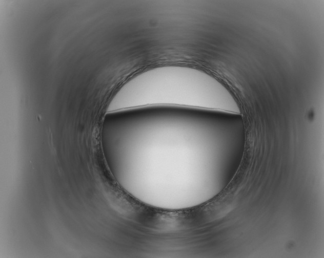 X0000091060079200708061010