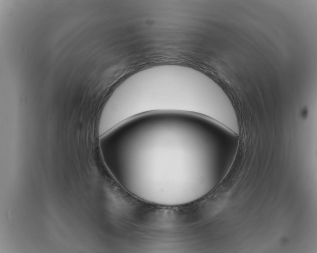 X0000091060080200708061010