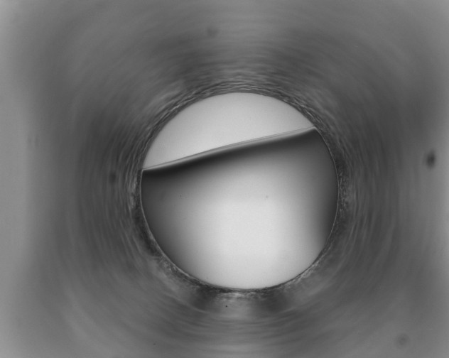 X0000091060082200708061010