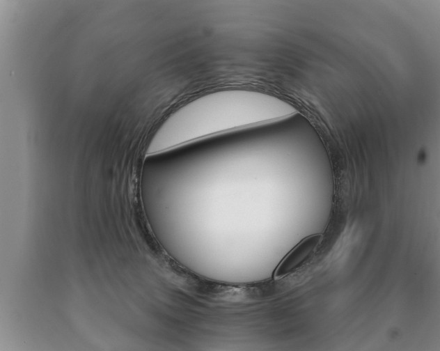 X0000091060083200708061010