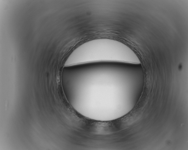 X0000091060085200708061010