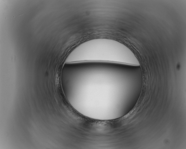 X0000091060086200708061010