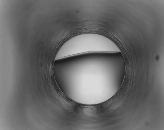 X0000091060087200708061010