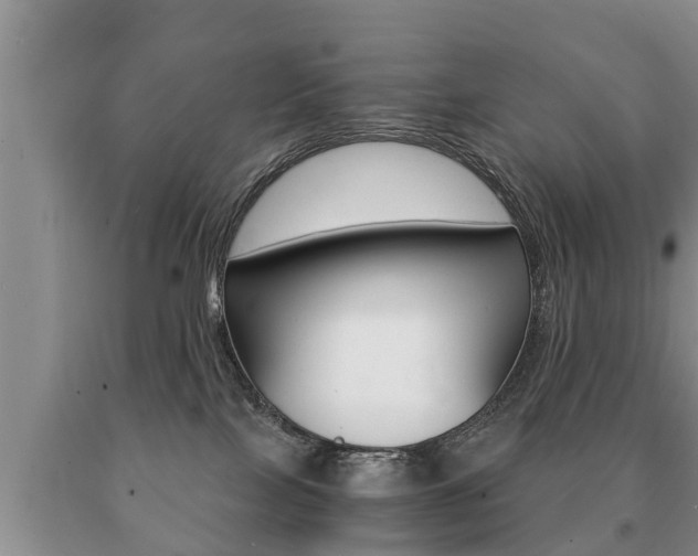 X0000091060089200708061010