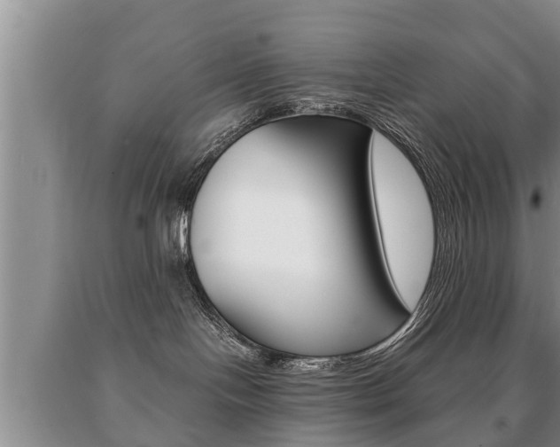 X0000091060094200708061010