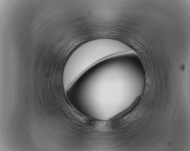 X0000091060096200708061010