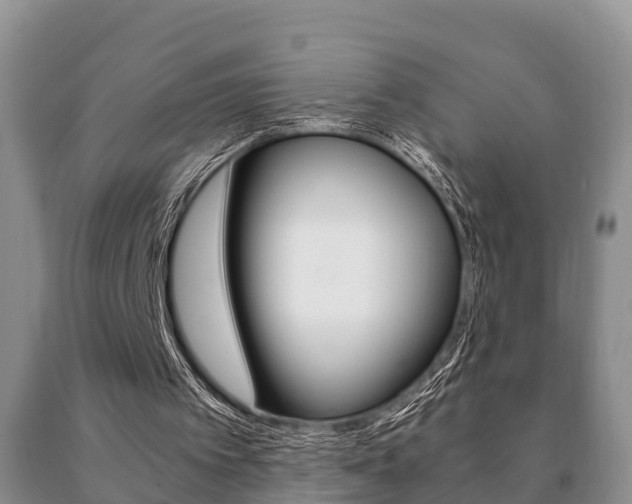 X0000091060097200708061009