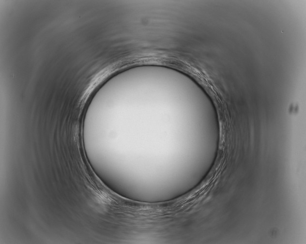 X0000091060099200708061009